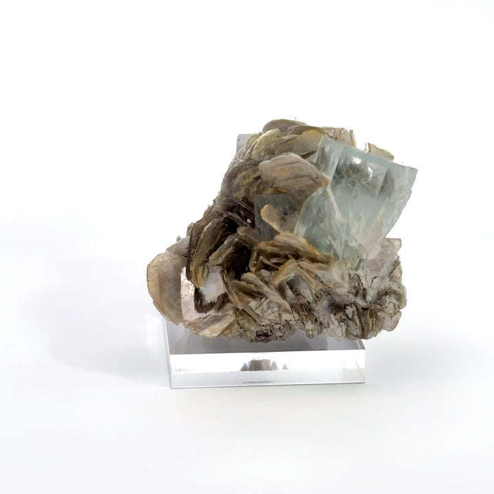 Aquamarine & Muscovite - A23 Specimen