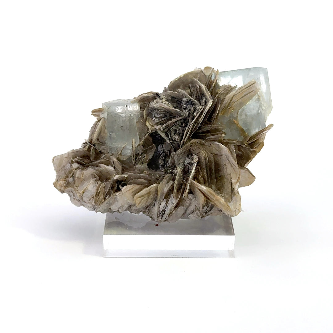 Aquamarine & Muscovite - A23 Specimen