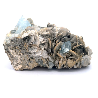 Aquamarine on Muscovite Feldspar Matrix - A42